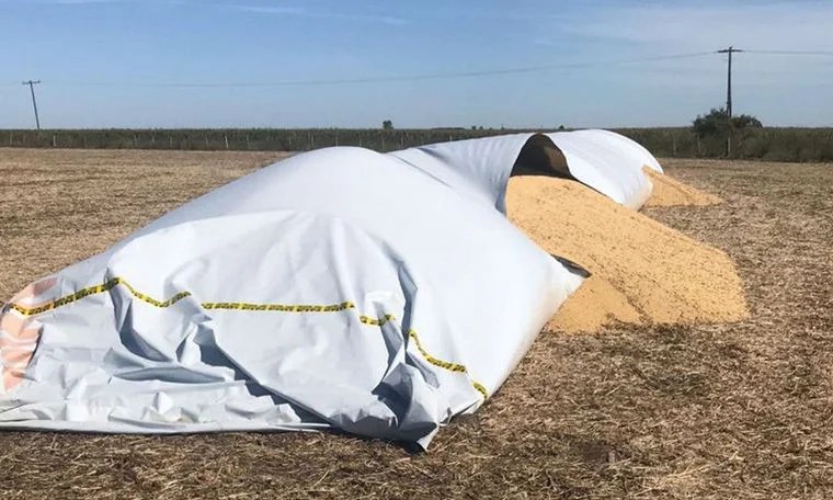 Ataque a los silobolsas en los campos